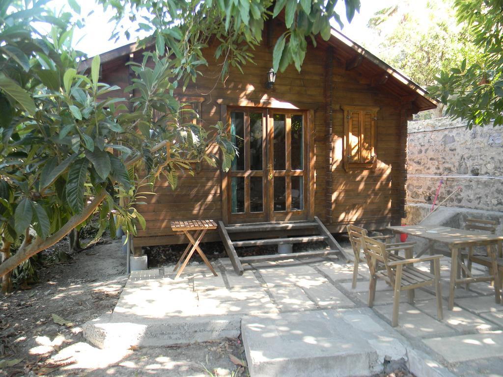 Camping Tropical อัลมูเญการ์ ภายนอก รูปภาพ